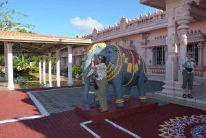 Trinidad: Pitch Lake and Chaguanas Sightseeing Tour