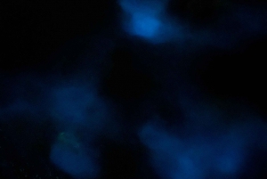 ULTIMATE Bioluminescence night time adventure with Brandon