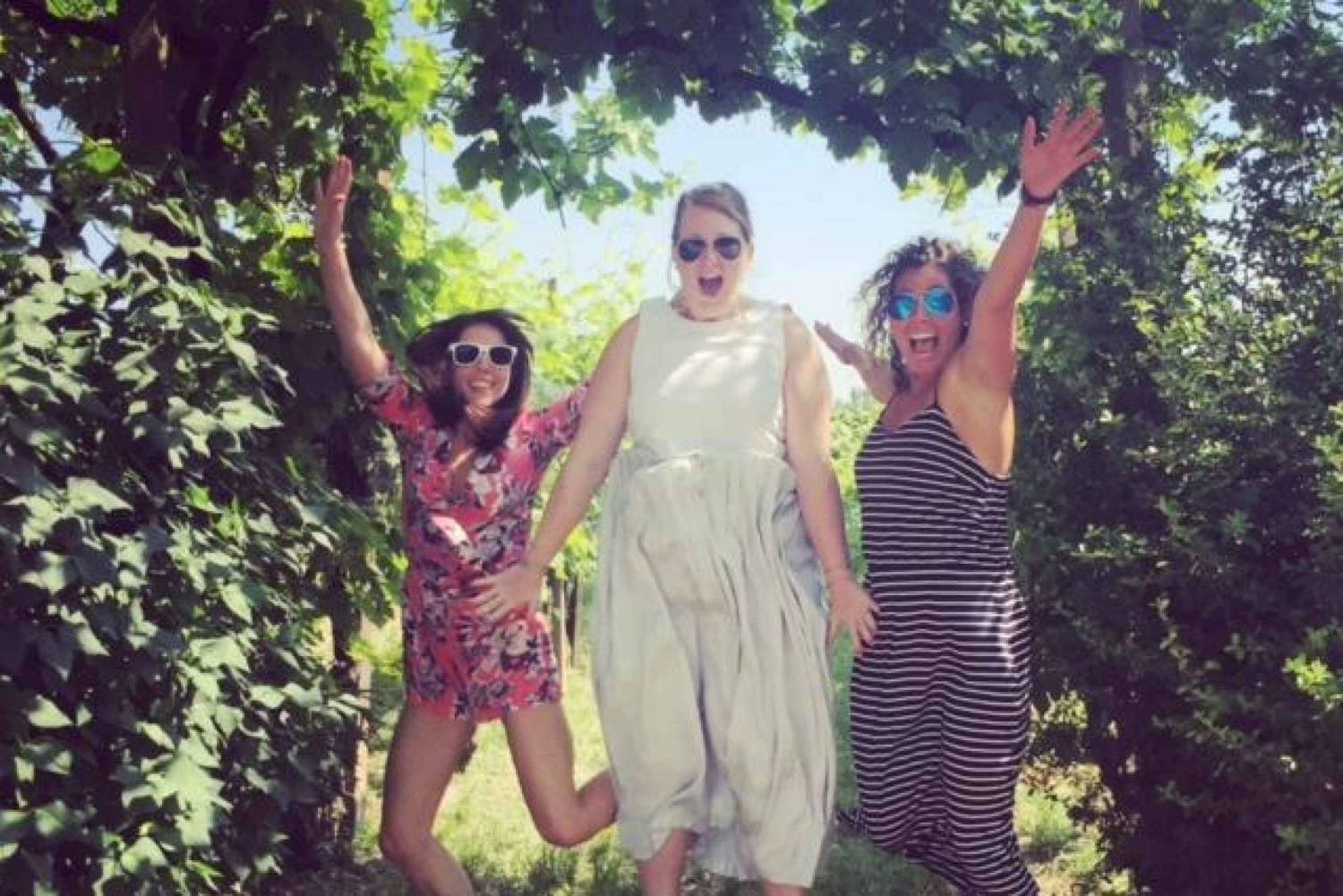 8-часовой тур 'Вино Просекко и дегустации' из Венеции или Падуи