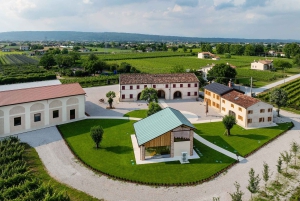 Asolo Montello: zwiedzanie winnicy i winnic z degustacją 5 win