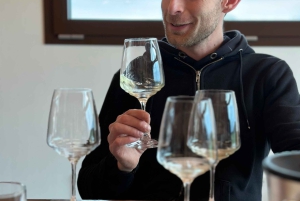 Asolo Montello: zwiedzanie winnicy i winnic z degustacją 5 win