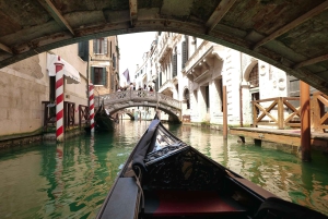 From Lake Garda: Full-Day Guided Group Tour of Venice
