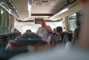 From Lake Garda: Full-Day Guided Group Tour of Venice