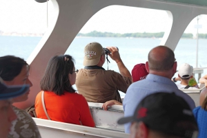 From Lake Garda: Full-Day Guided Group Tour of Venice