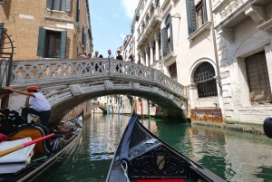 From Lake Garda: Full-Day Guided Group Tour of Venice