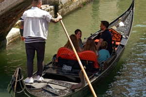From Lake Garda: Full-Day Guided Group Tour of Venice