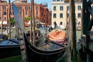From Lake Garda: Full-Day Guided Group Tour of Venice