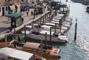 From Lake Garda: Full-Day Guided Group Tour of Venice