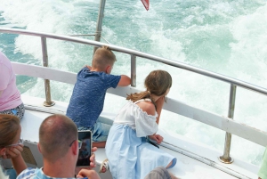 From Lake Garda: Full-Day Guided Group Tour of Venice