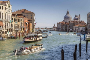 Vom Gardasee aus: Venedig Stadtführung und Lagune Guided Tour