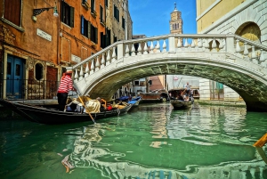 Vom Gardasee aus: Venedig Stadtführung und Lagune Guided Tour