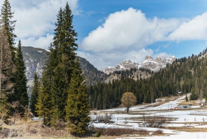 From Venice: Cortina and Dolomites Mountains Day Trip