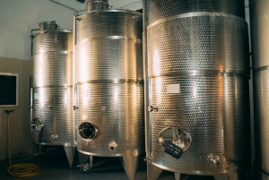 From Venice: Prosecco Hills and Wine Tasting Tour