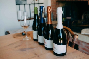 From Venice: Prosecco Hills and Wine Tasting Tour