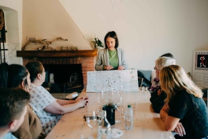 From Venice: Prosecco Wine Region Tour with 2 Tastings