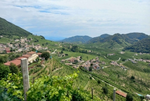 Prosecco-Hügel: Tagestour ab Venedig & Treviso, 2 Weingüter