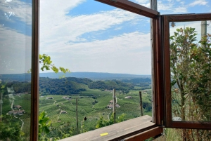 Prosecco-Hügel: Tagestour ab Venedig & Treviso, 2 Weingüter