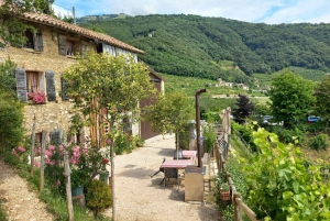 Prosecco-Hügel: Tagestour ab Venedig & Treviso, 2 Weingüter