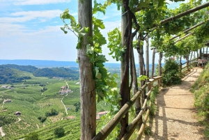 Prosecco-Hügel: Tagestour ab Venedig & Treviso, 2 Weingüter