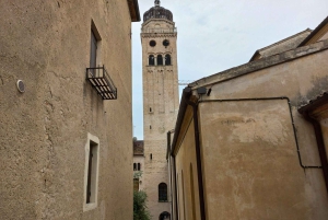 Prosecco-Hügel: Tagestour ab Venedig & Treviso, 2 Weingüter