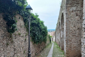 Prosecco-Hügel: Tagestour ab Venedig & Treviso, 2 Weingüter