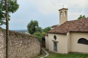 Prosecco-Hügel: Tagestour ab Venedig & Treviso, 2 Weingüter
