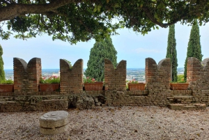 Prosecco-Hügel: Tagestour ab Venedig & Treviso, 2 Weingüter