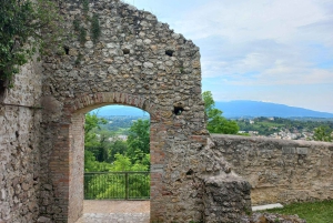 Prosecco-Hügel: Tagestour ab Venedig & Treviso, 2 Weingüter