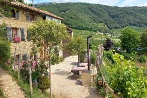 Prosecco-Hügel: Tagestour ab Venedig & Treviso, 2 Weingüter