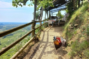 Prosecco-Hügel: Tagestour ab Venedig & Treviso, 2 Weingüter