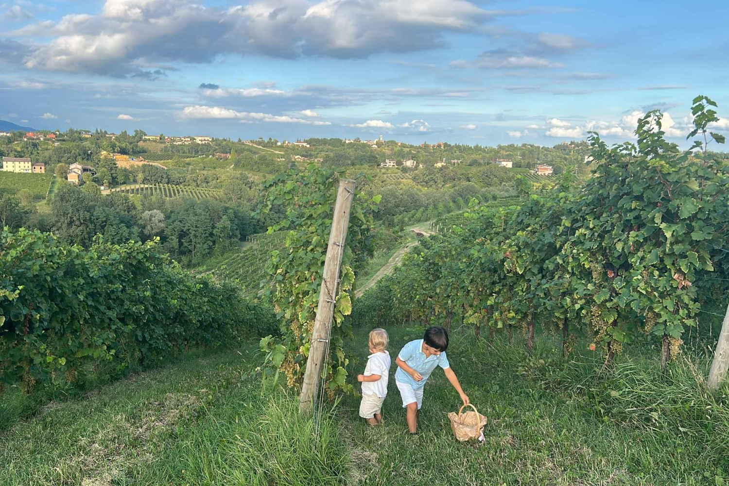 プロセッコ：ファミリー・オステリアでのワインと料理の饗宴