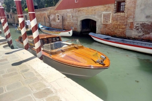 Ravenna Port: Transfer to Venice with Tour and Gondola Ride