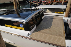 Ravenna Port: Transfer to Venice with Tour and Gondola Ride