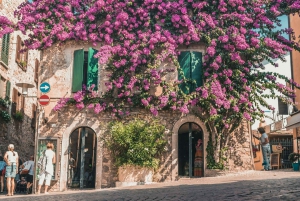 ヴェネツィアとトレヴィーゾ発、ヴェローナとガルダ湖のセミプライベートツアー