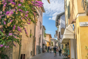 ヴェネツィアとトレヴィーゾ発、ヴェローナとガルダ湖のセミプライベートツアー