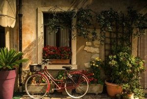 ヴェネツィアとトレヴィーゾ発、ヴェローナとガルダ湖のセミプライベートツアー