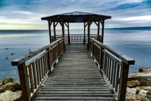 ヴェネツィアとトレヴィーゾ発、ヴェローナとガルダ湖のセミプライベートツアー