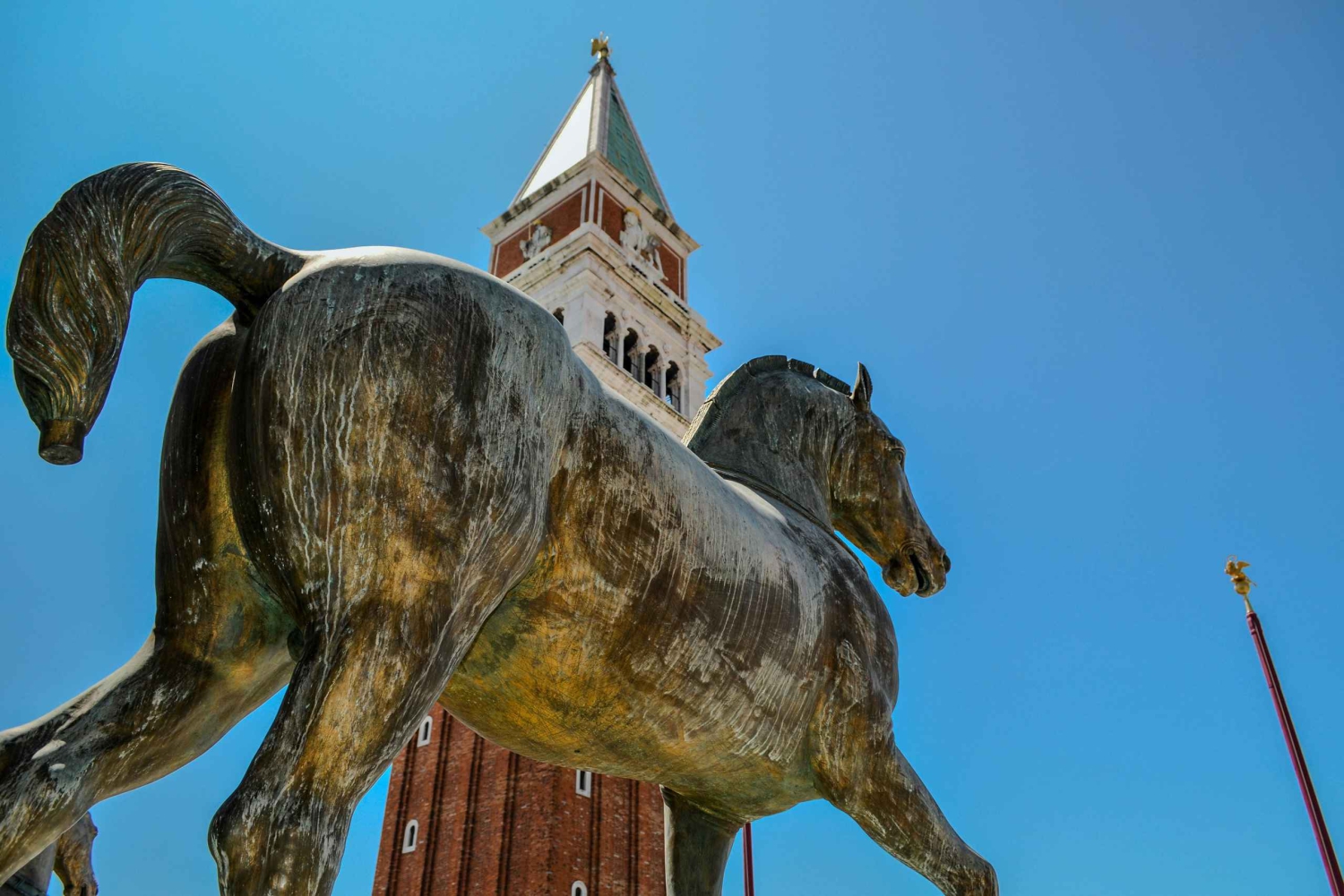 Terrazze della Basilica di San Marco, Procuratie, Tour del Campanile