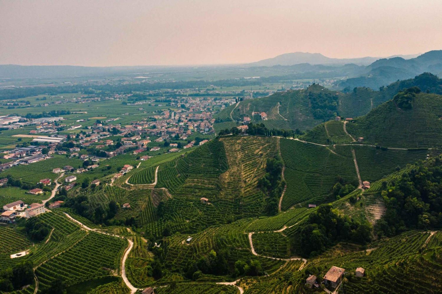 Valdobbiadene : Visite privée et dégustation de Prosecco avec un sommelier