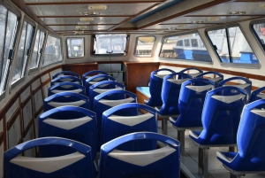 Venezia: tour panoramico in barca di 1 ora