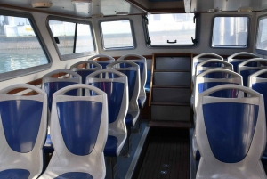 Venezia: tour panoramico in barca di 1 ora