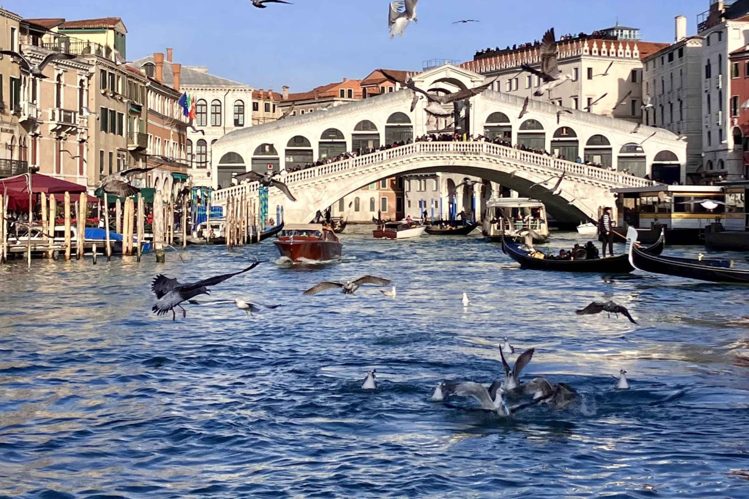 Basiliek van San Marco: ticket voor rondleiding met gids + volledige audiogids