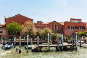 Venice: Glass Factory, Murano, and Burano Boat Tour