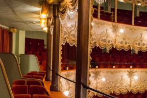 Venezia Visita Guidata Teatro Goldoni