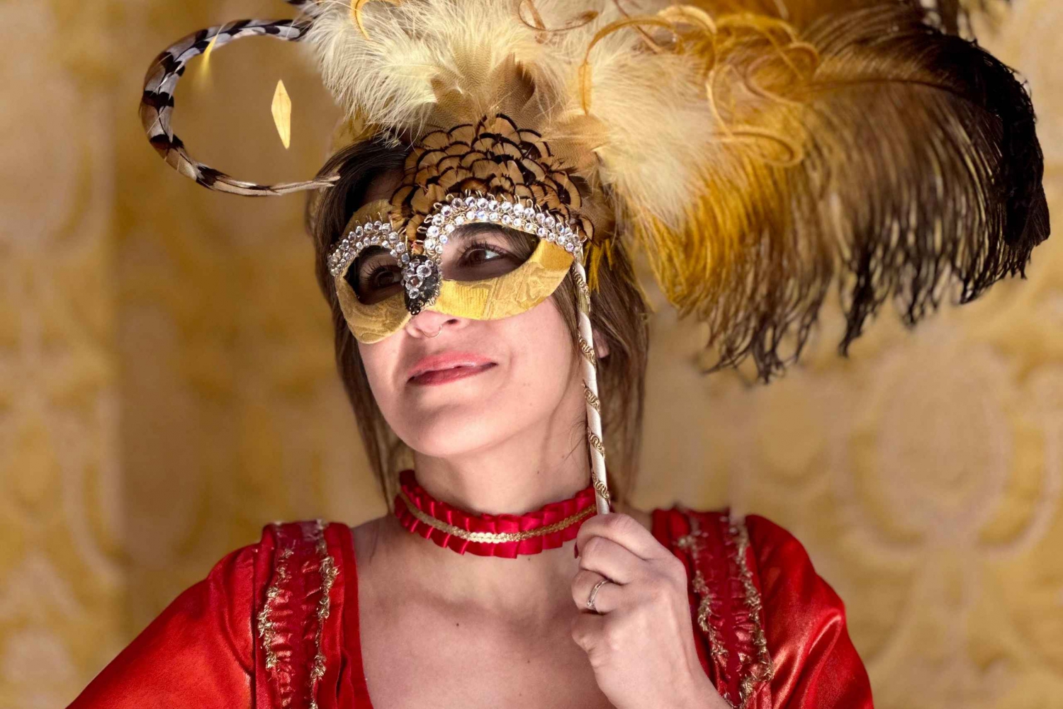 Venezia: viaggio storico del Carnevale ed esperienza di travestimento