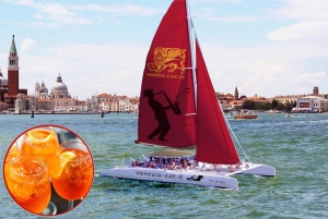 Venice: Lagoon Catamaran Cruise with Music and Drinks