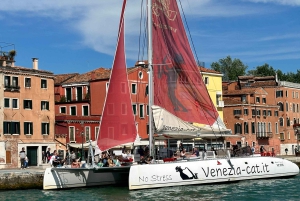 Venice: Lagoon Catamaran Cruise with Music and Drinks