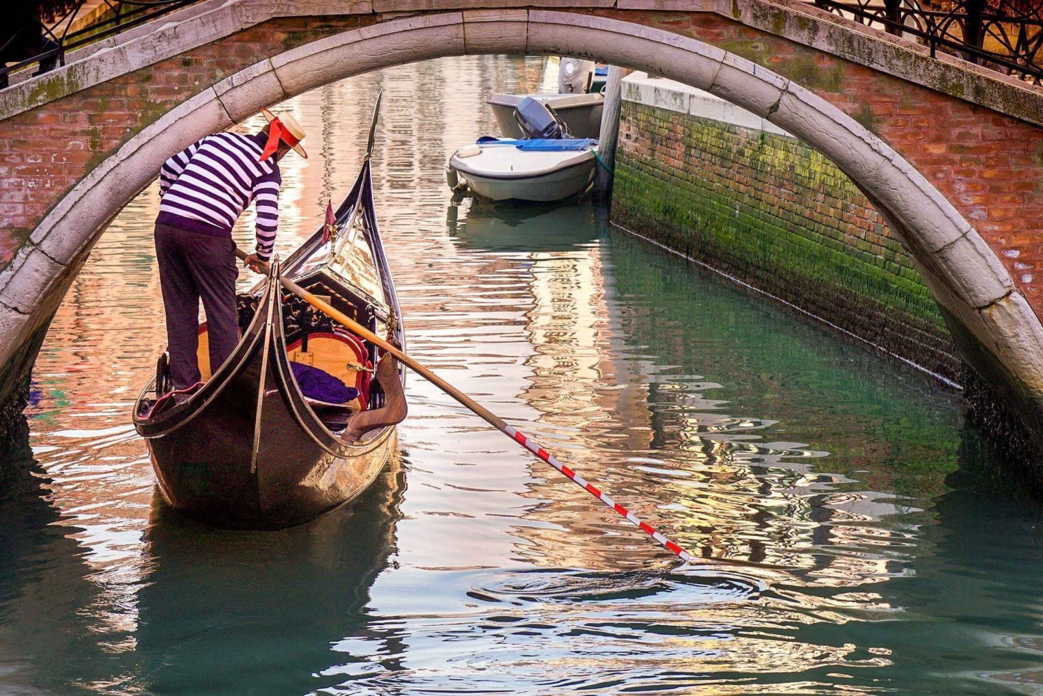 Visita Privada a Pie de Venecia