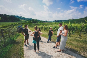 Venice: Prosecco Wine Tasting Tour