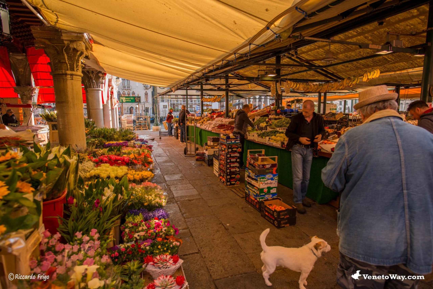 Venedig: Rialto Markt Food Tour mit 3 Verkostungen